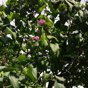 Podzimní toulka barvami podzimu.