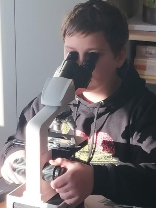 Mikroskopování v Botanické zahradě Praha