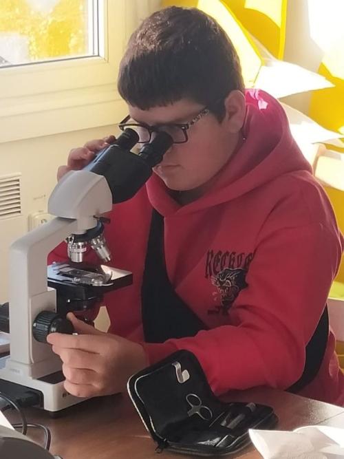 Mikroskopování v Botanické zahradě Praha