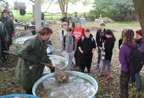Výlov Bučického rybníka 7.A